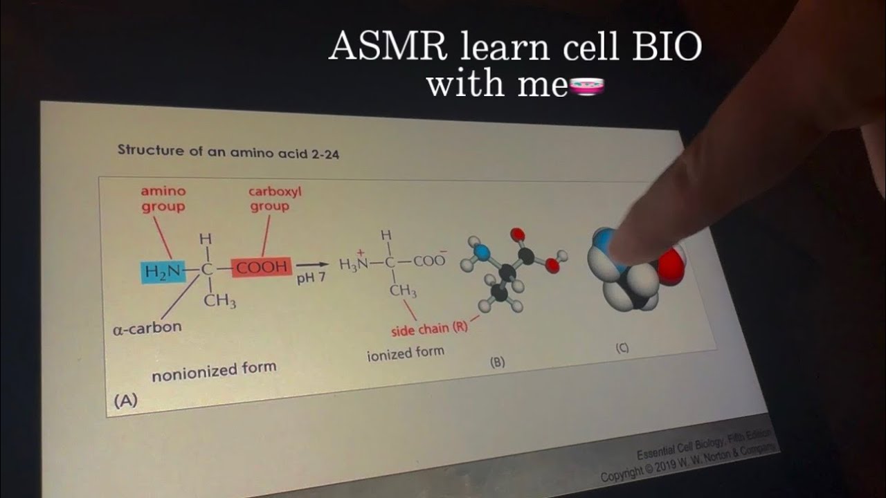 ASMR learn cell BIO with me (scratchy tapping, camera tapping, visuals)🖇️📚