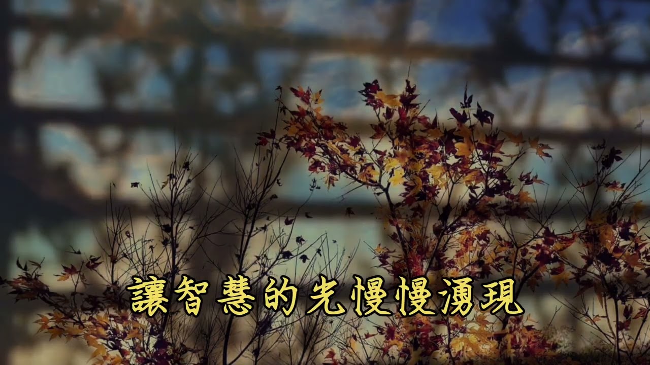 靜思園地歌曲《落葉知秋 清心見慧》