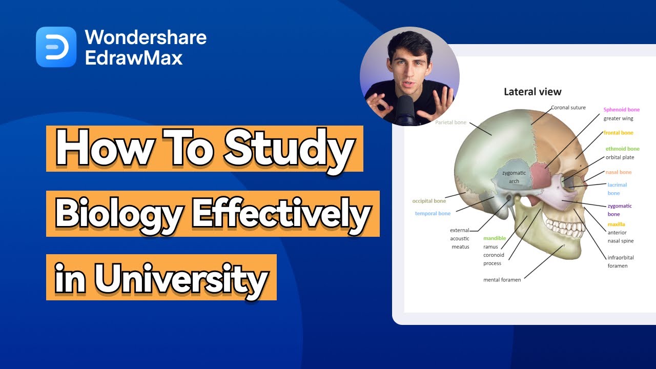 How To Study Biology Effectively in University