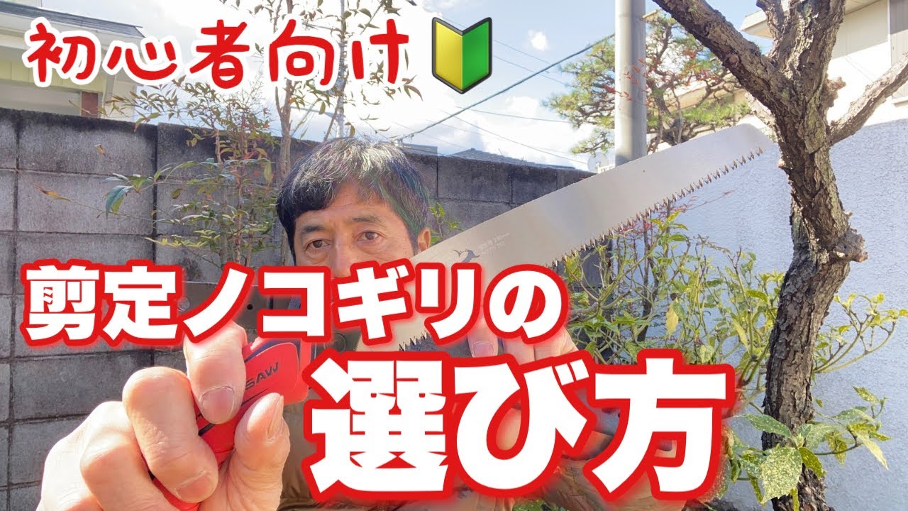 植木屋が初心者に向けて剪定ノコギリの選び方を解説