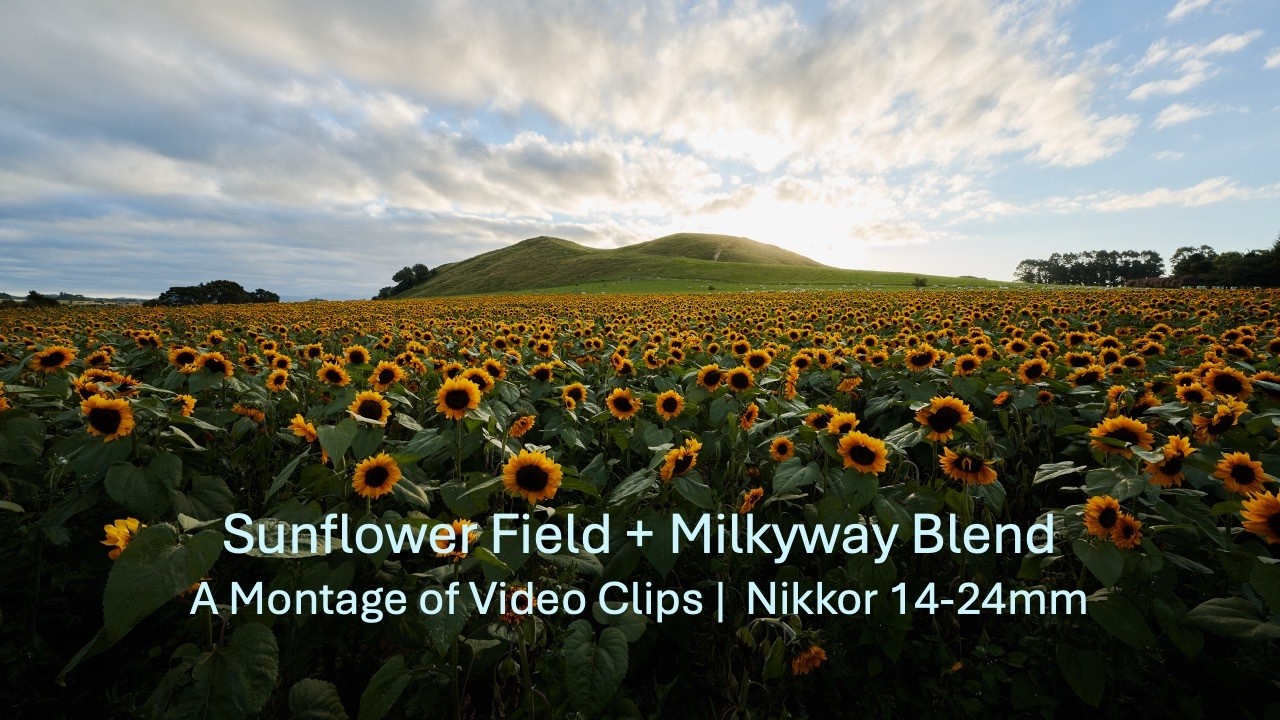Sunflower Field during Sunset + Milkyway Blend (at the end)