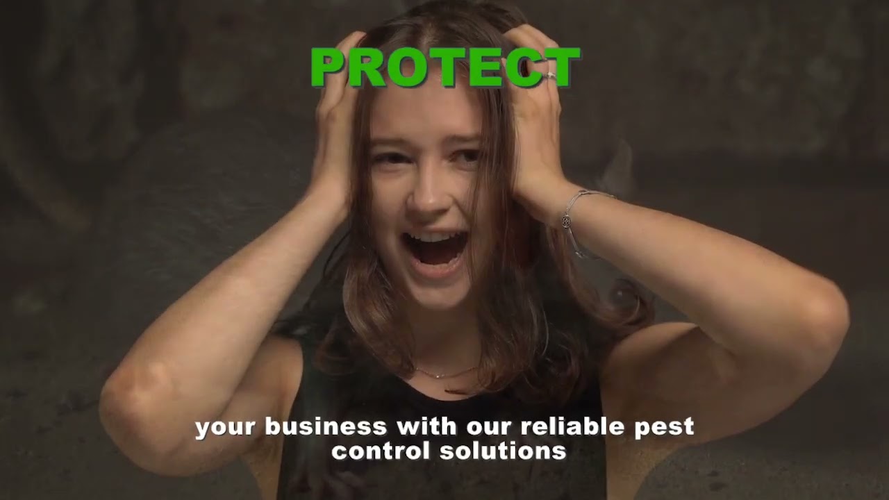 Biotech Home & Office Pest Control: Your Ultimate Solution for a Pest-Free Workspace!