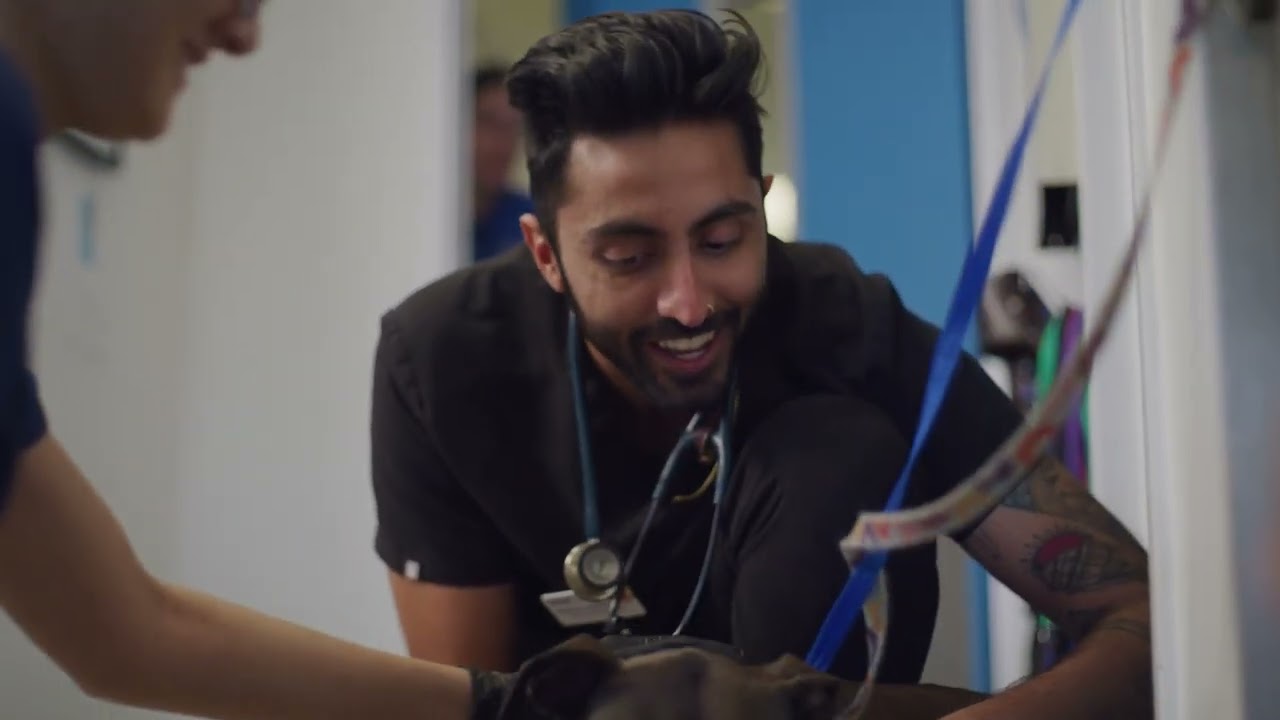 The biggest misconception about working at VCA Animal Hospitals