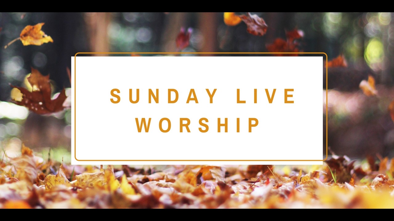 Sunday Special Meeting || Bethel Prayer House, NLB Nagar, Hyd  || 01-03-2026||