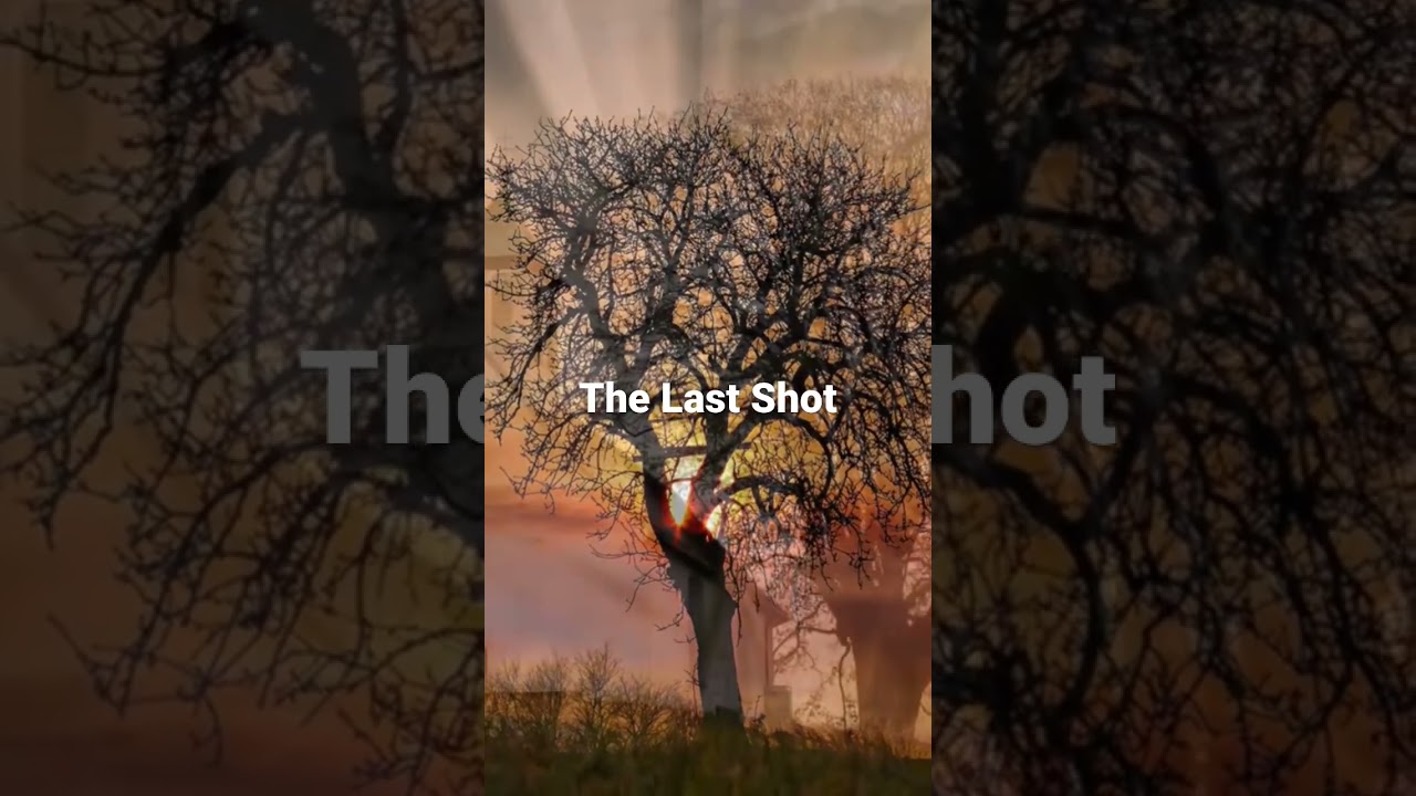 How Did Three Bullets Change History?