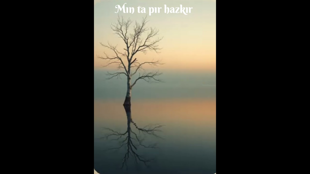  ( Kürtçe )mın çıro ta pır hazkır 