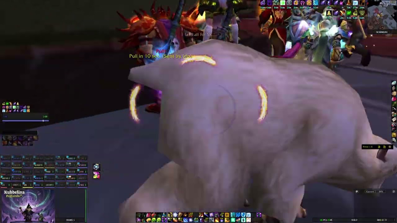 2026 01 10 K40 with Puglords