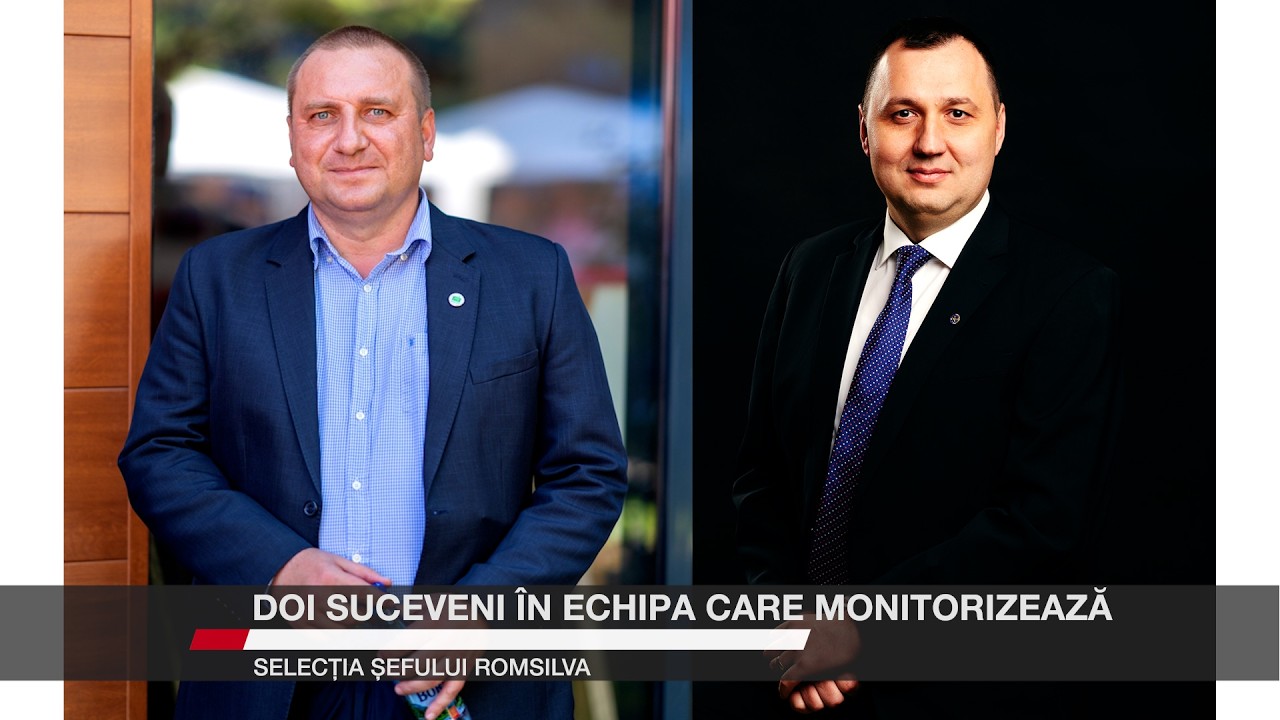 Doi suceveni în echipa care monitorizează selecția șefului Romsilva