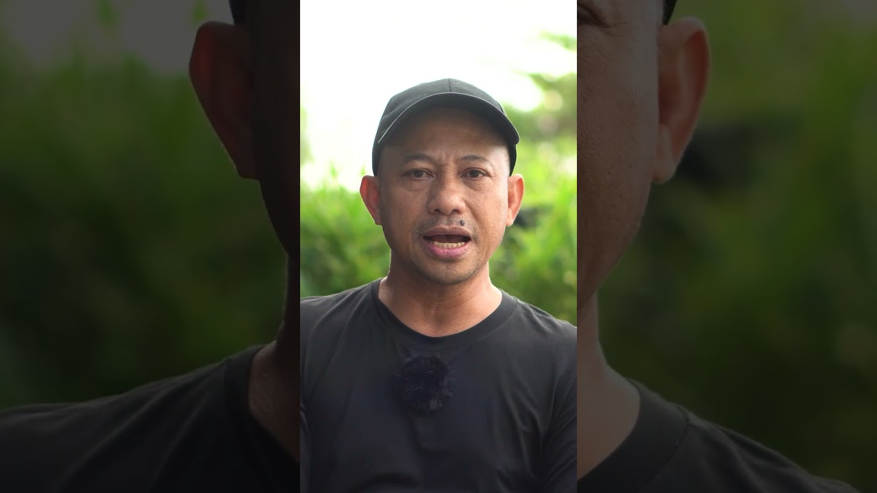 One of the Biggest Shrimp Farm in the Philippines #shorts #shortvideo #viralvideo