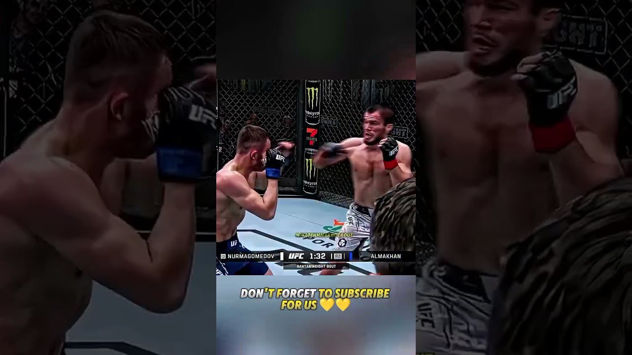 Umar Nurmagomedov vs Bekzat Almakhan UFC Fight #ufc