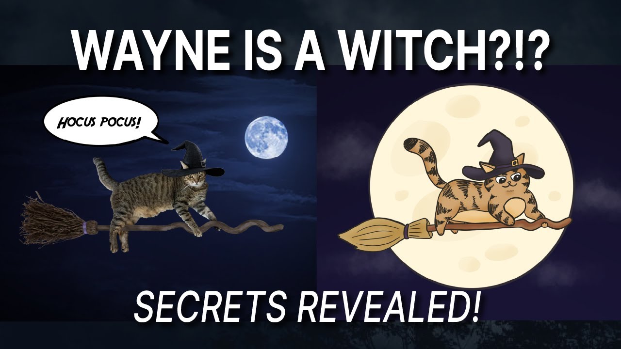 Turning Wayne into a Cartoon Witch! - Halloween Special