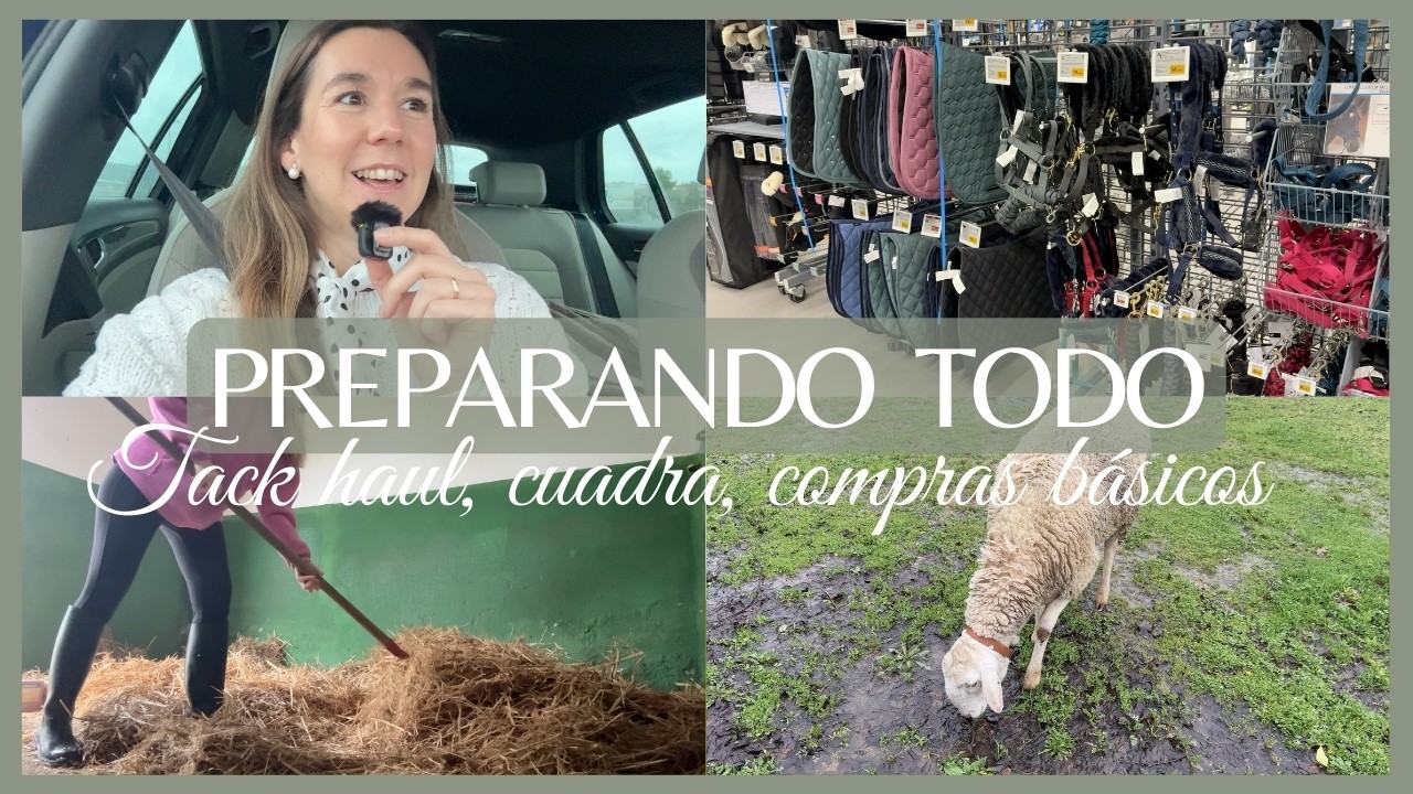 Preparando la llegada de mi nuevo caballo | Tack haul, hago la cuadra, compra básicos 🐴🌿 Laura Raya