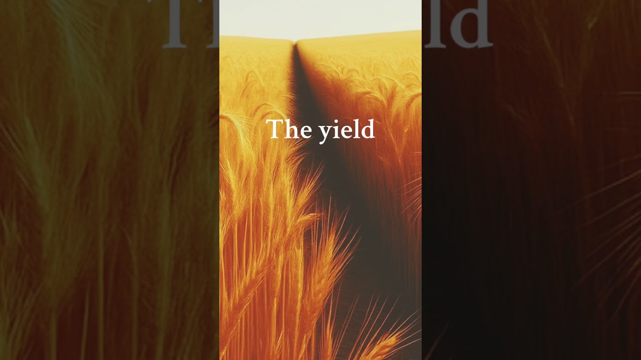 The yield