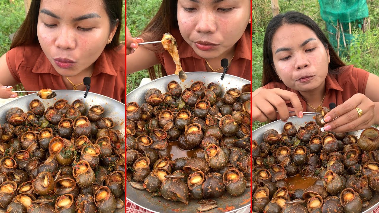 Wow! so yummy Snail fried | mukbang snails food delicious | eating food