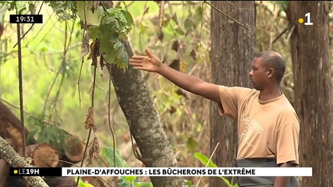 Plaine d'Affouches : les bûcherons de l'extrême