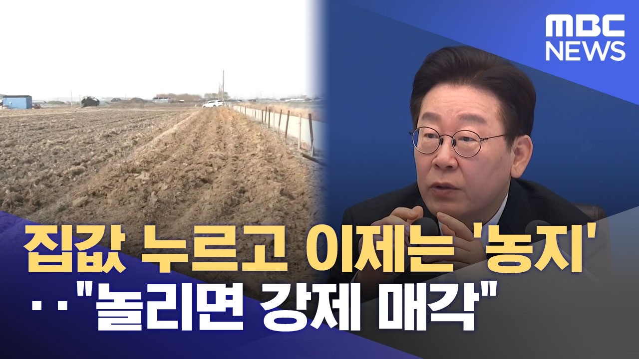 집값 누르고 이제는 '농지'‥