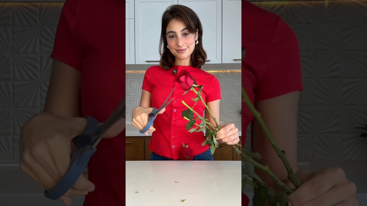 como transformar buquês de rosas 🌹