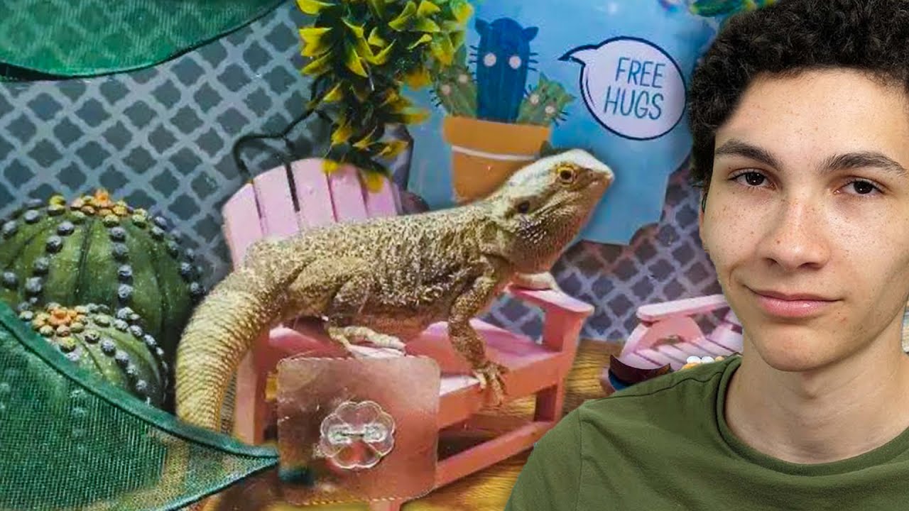 Rating Your Real Dang Cute Reptile Enclosures