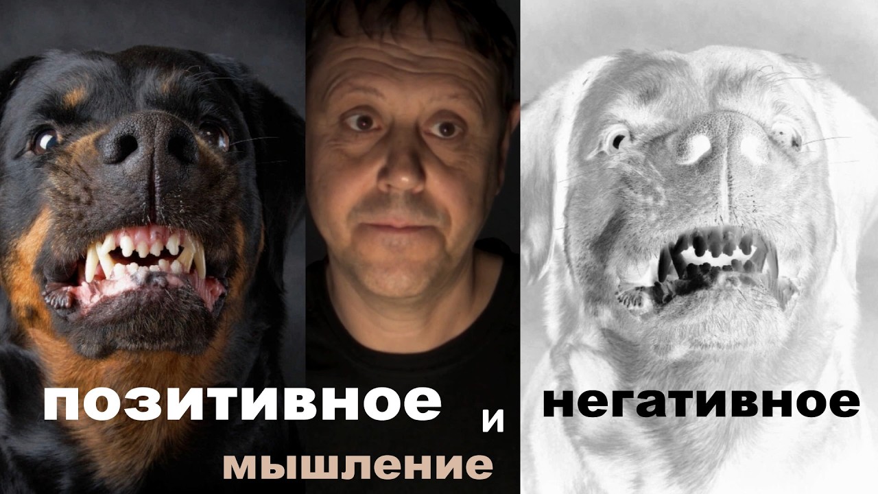 Позитивное мышление: главная ошибка