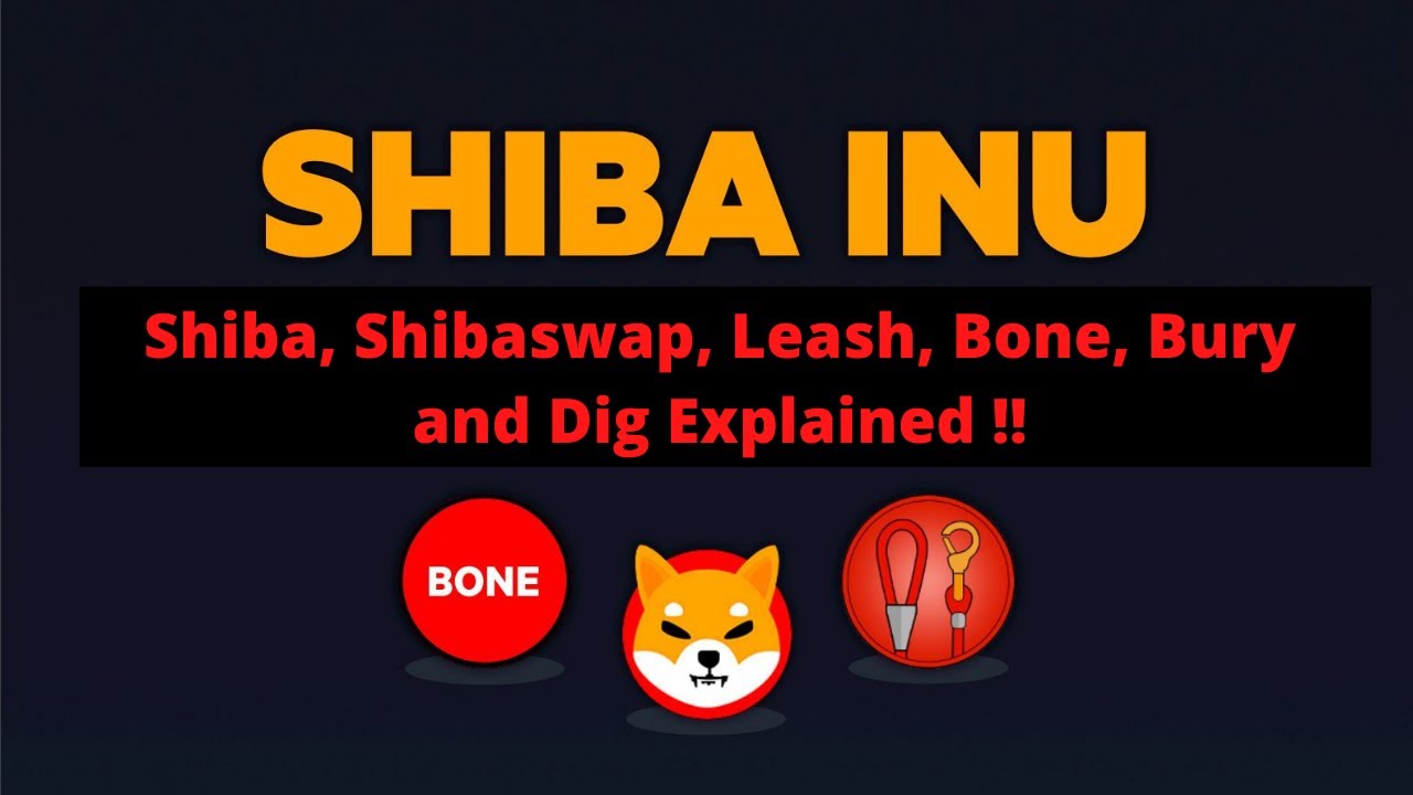 Shiba, Shibaswap, Leash, Bone, Bury and Dig Explained | Shibaswap release Date !