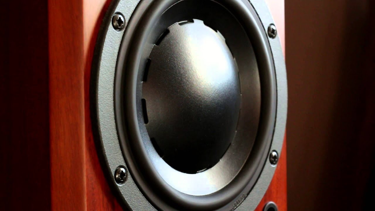 Bass i love you dynaudio