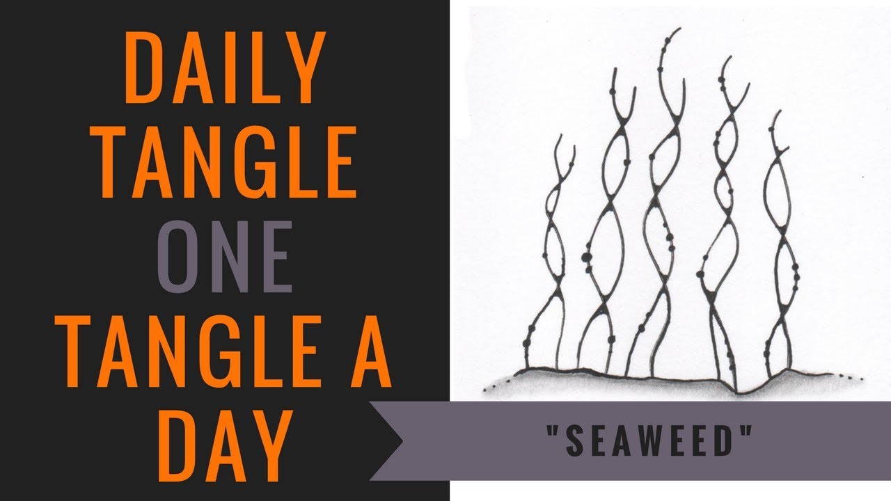 Daily Tangle - Seaweed