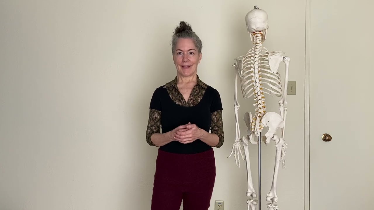 Dance Technique:  Unified Alignment of the Central Bones