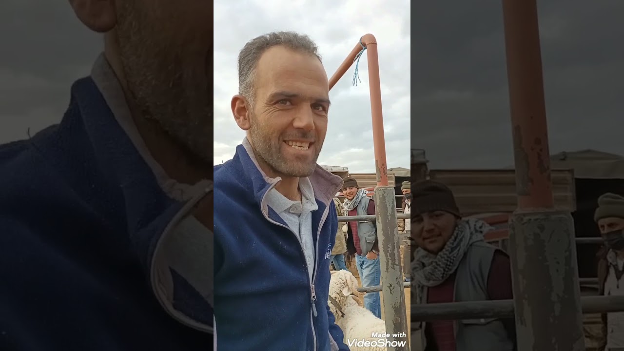 PAZAR OLA   AFYON CAYİRBAG CANLİ HAYVAN PAZARİ (14.10.2021)