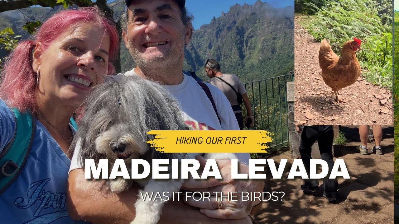 Our First Hike: Madeira's 
