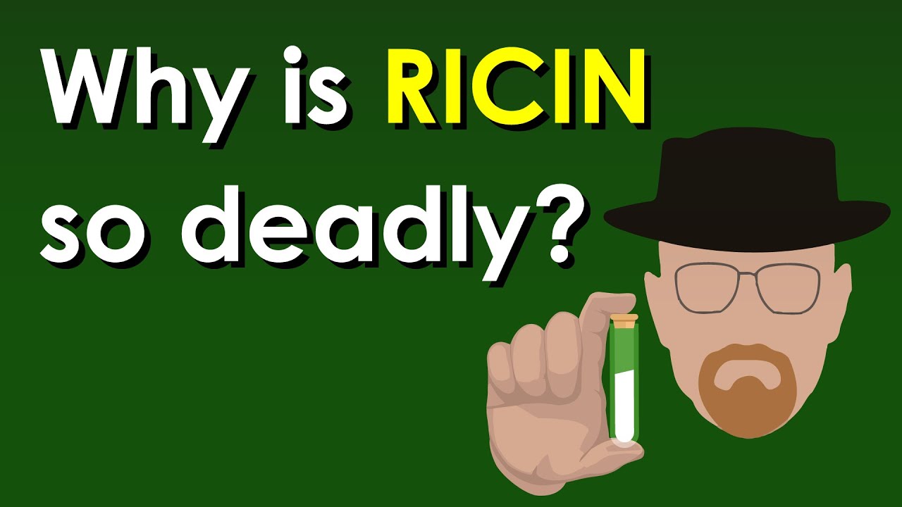 Why is Ricin so deadly?