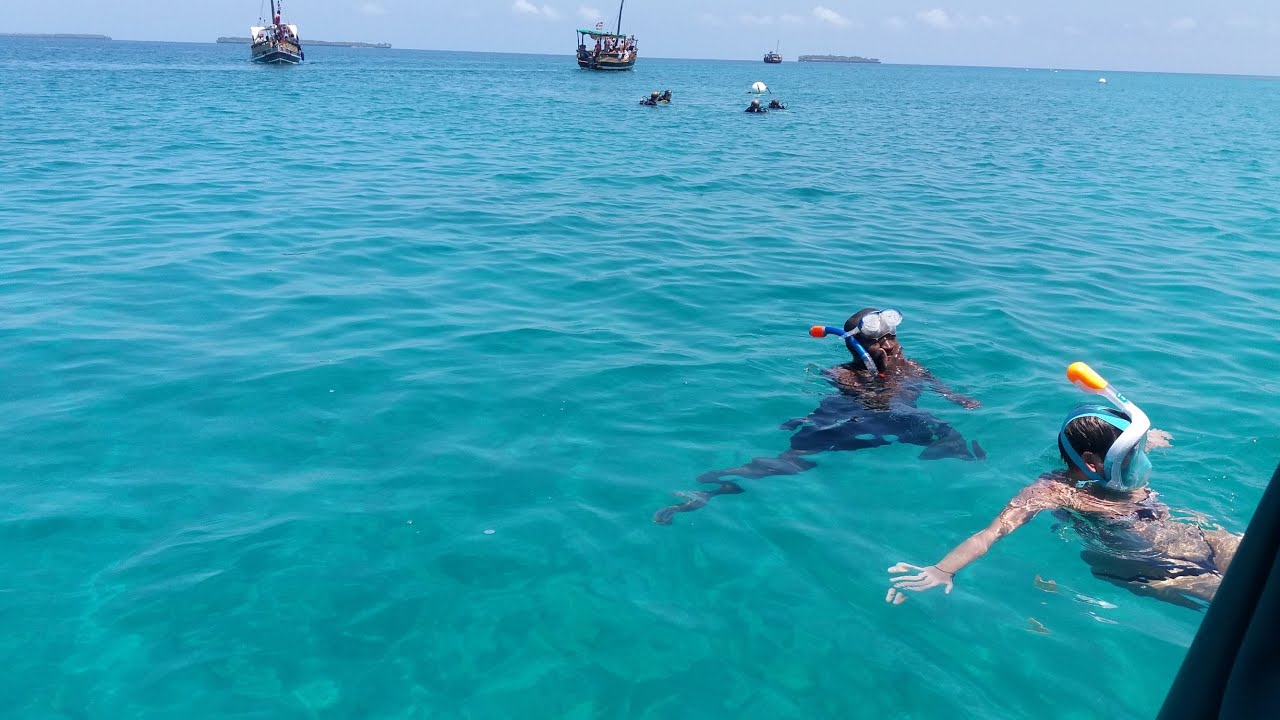 Dhows. Dolphins. Diving-Wasini Island