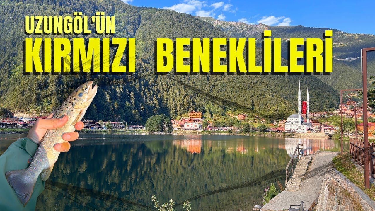 KIRMIZI BENEKLİ ALABALIK AVI | SALMO TRUTTA FISHING |