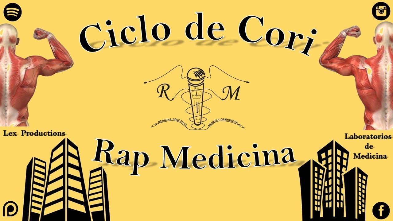 Ciclo de Cori  - Rap Medicina - R4