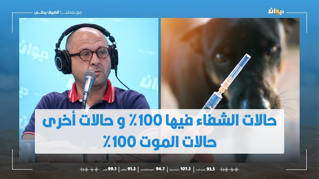 الدكتور سليم العسلي: كل مايجب ان تعرفه عن طرق انتقال عدوى داء الكلب والوقاية منه !