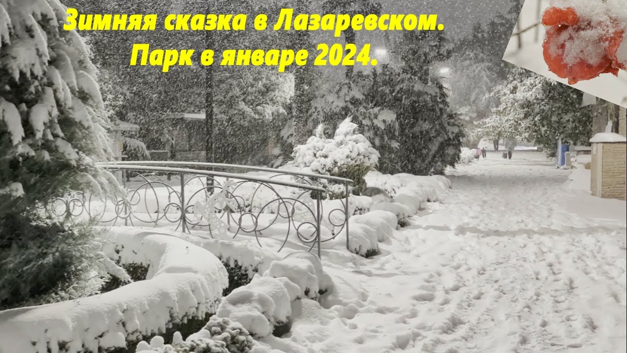 Зимняя сказка в Лазаревском! Парк в январе 2026!