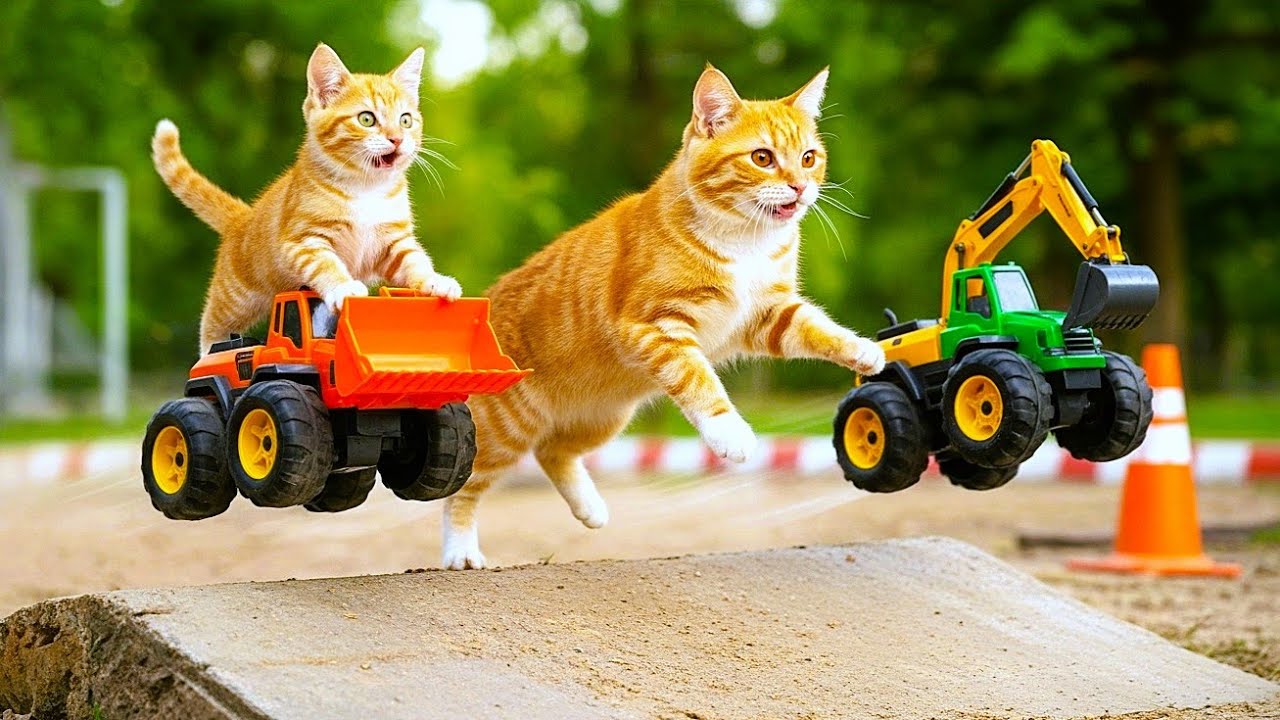 Her Final Breath: A Mother Cat’s Fight to Save a Forgotten Kitten in the Rain 😿 #mamacat