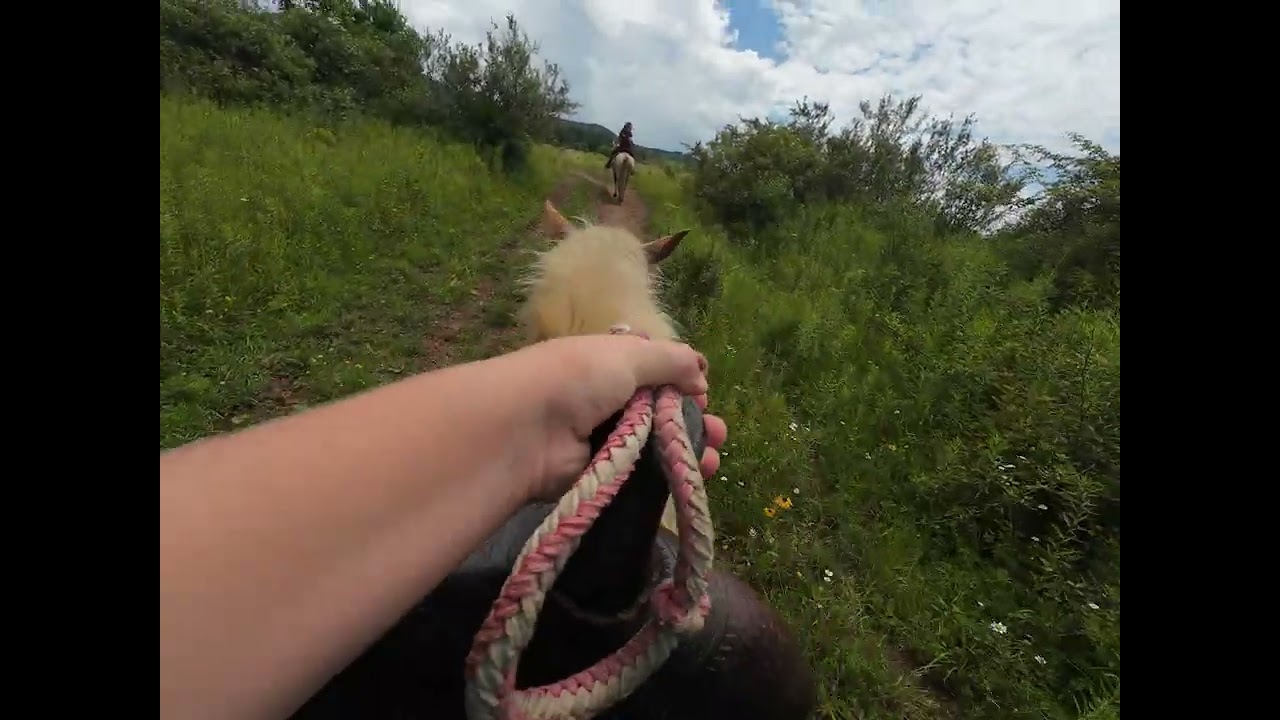 Epic Horseback Trail Ride on 