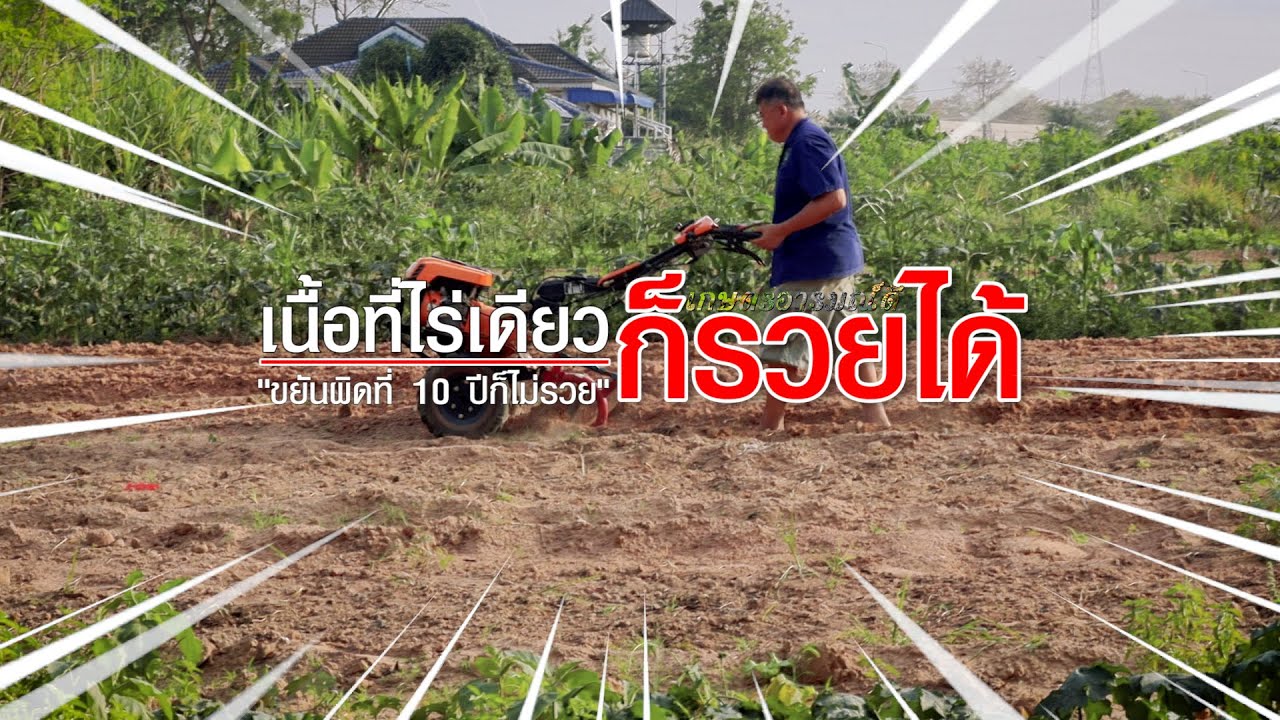 เนื้อที่ไร่เดียว ก็รวยได้ #เกษตรอารมณ์ดี