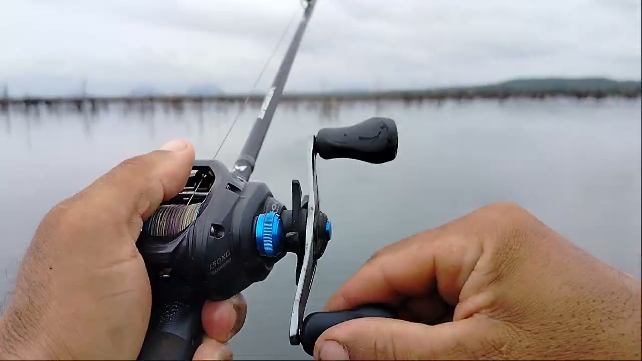 Domingo de pescaria #peacockbass#fishing