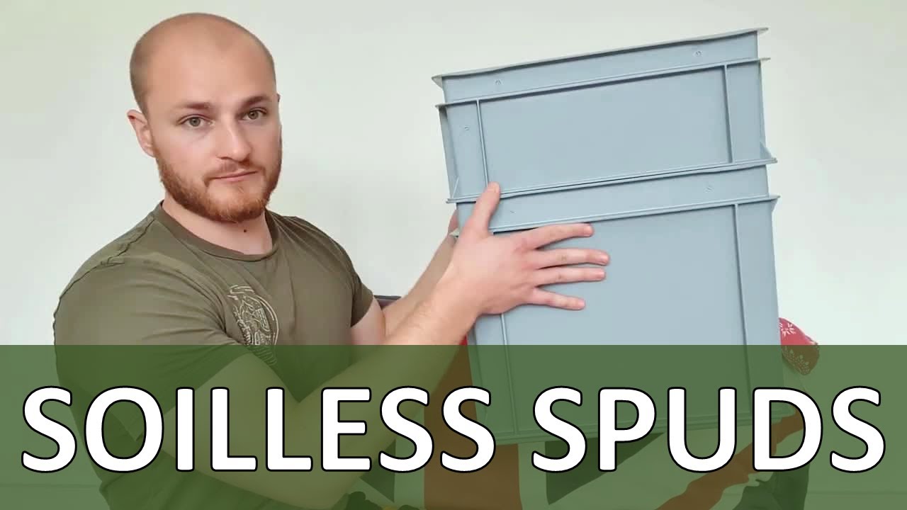 Experimental Setup | Soilless Spuds PhD