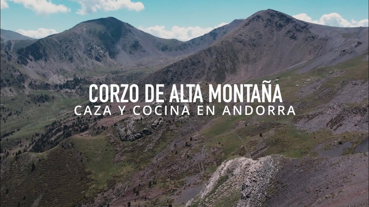 -Corzo de alta monta&ntilde;a- caza y cocina en Andorra-
