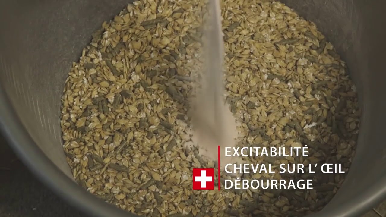 Produits Twydil pour le Cheval de Course - Vetostore