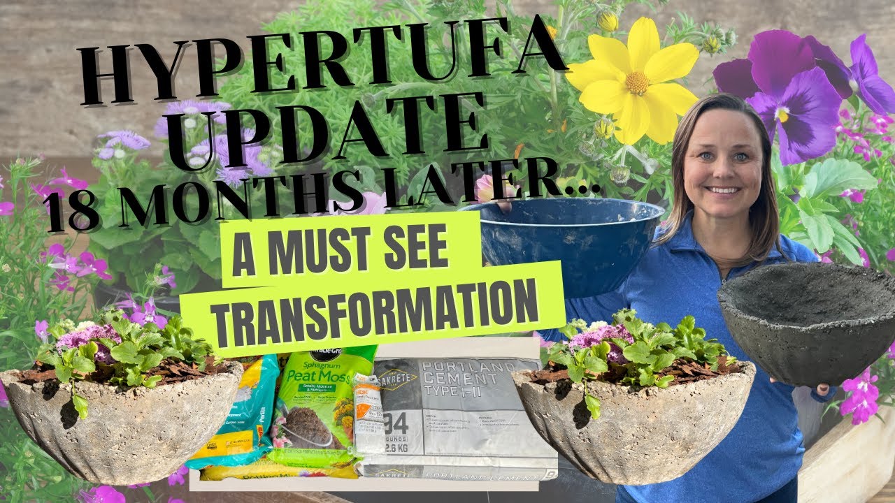 Hypertufa Planters 18 Months Later: DIY Results & Step-by-Step | The Southern Daisy