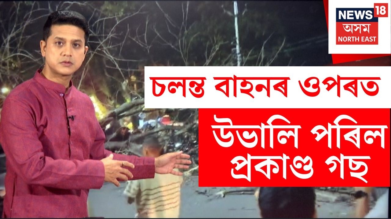 LIVE | Uzan Bazar সতী ৰাধিকা পাৰ্কৰ সমীপত চলন্ত বাহনৰ ওপৰত উভালি পৰিল প্ৰকাণ্ড গছ