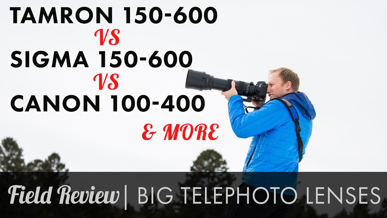 Zoom Telephoto Field Review Tamron 150-600 vs Sigma Sport 150-600 vs Canon 100-400 & more HD