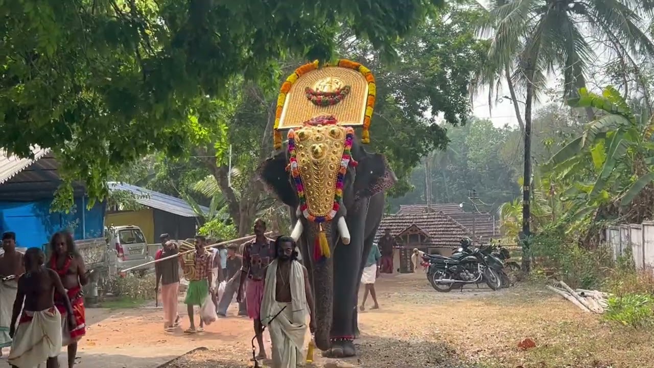 kothachira pooram Akkikkav Karthikeyan with Thidambu followed by Panchavadyam Parakkad Thankappettan