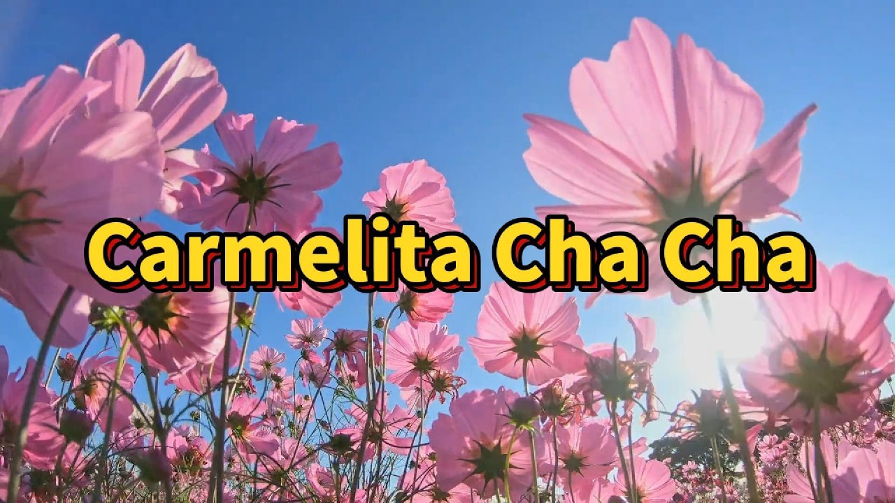 Carmelita Cha Cha Line Dance  {Silaturahmi antar kelas senam dan line dance LKP Kenanga 38}