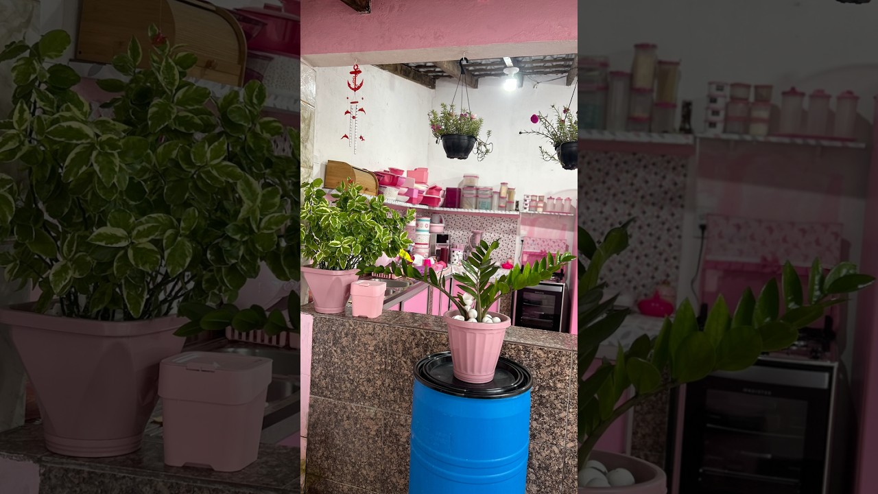 Deixando Jesus florescer na sua vida #reflexionesdevida