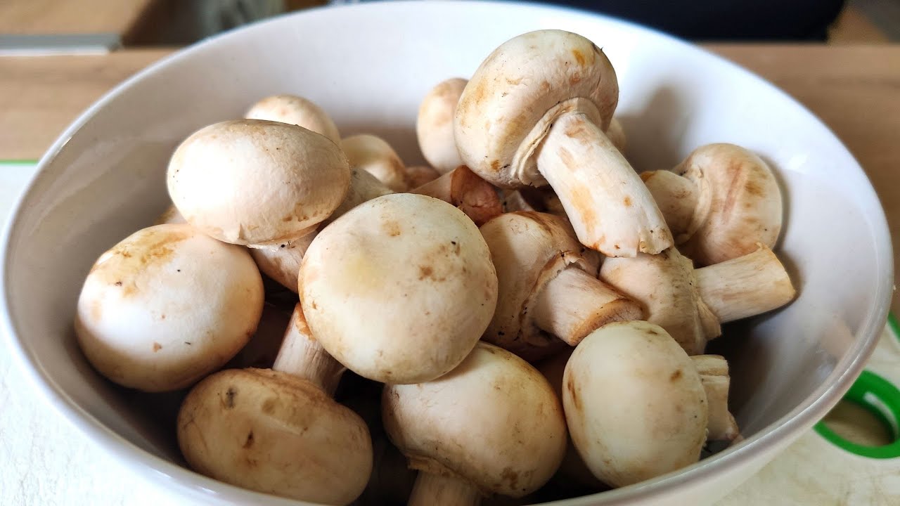 5 MINUTOS E UM PRATO QUE EU APRENDI A AMAR! Como preparar cogumelos na manteiga e shoyu