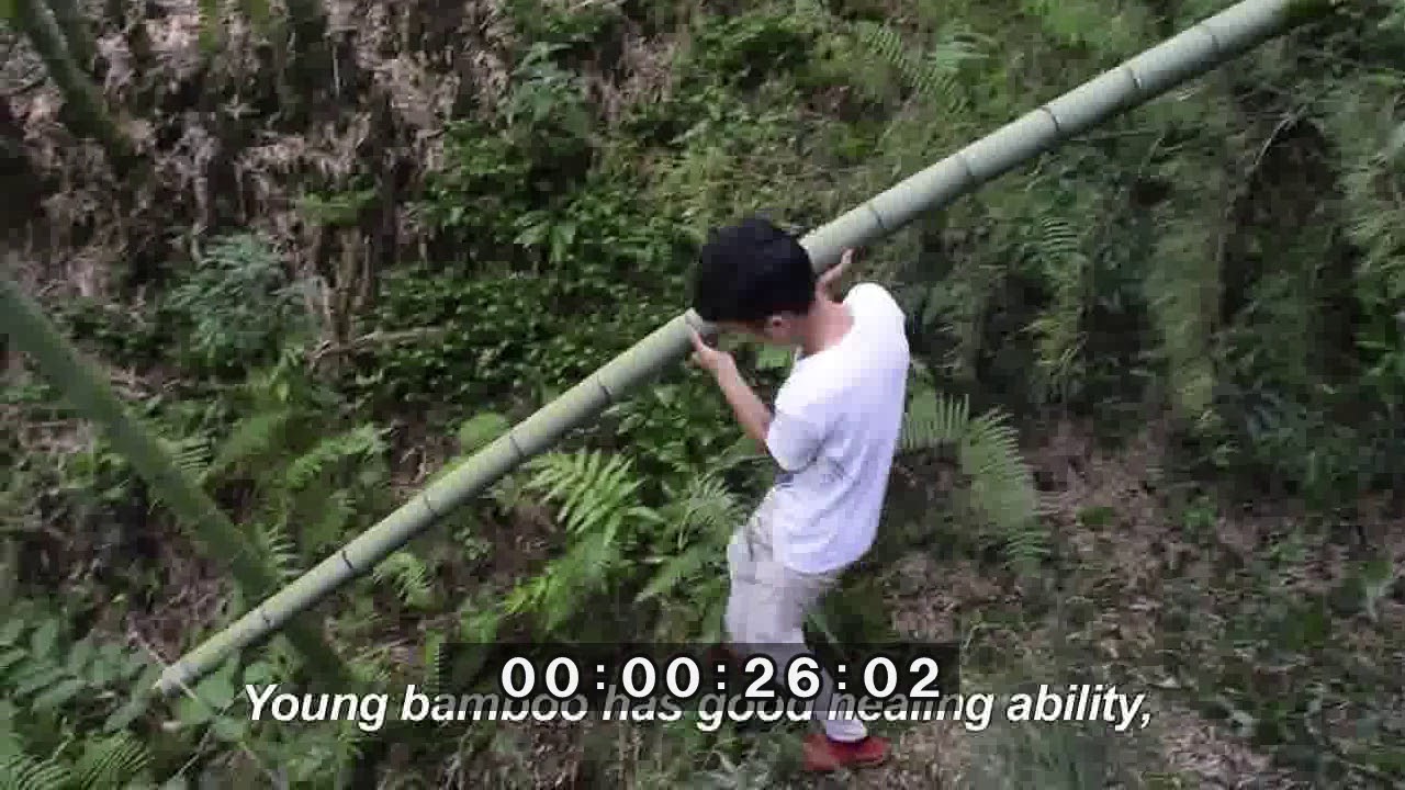 How to make the bamboo alcohol